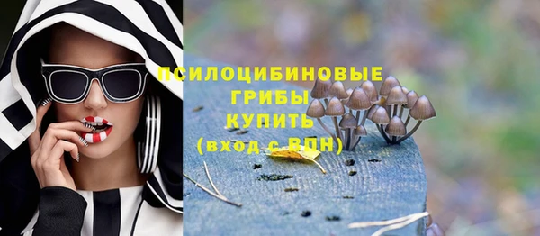 дживик Алзамай