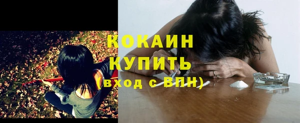 ПСИЛОЦИБИНОВЫЕ ГРИБЫ Алексеевка
