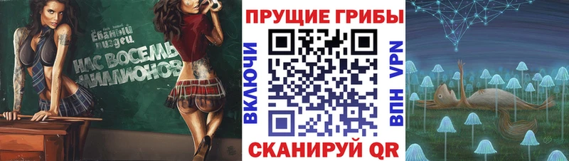 Псилоцибиновые грибы Cubensis  Лениногорск 